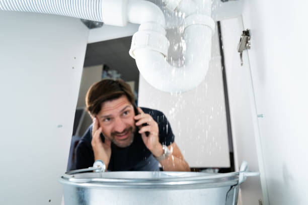 Best Sprinkler Systems  in Elkader, IA