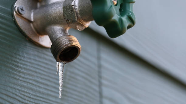 Best Local Plumber Services  in Elkader, IA